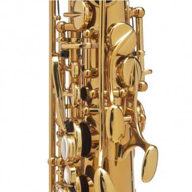 SAXO ALTO SELMER SUPREME DGG GOLDMESSING Selmer - 4