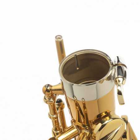 SAXO ALTO SELMER SUPREME DGG GOLDMESSING Selmer - 6