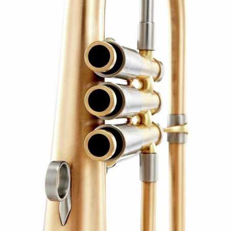 FLISCORNO ADAMS F2 SELECTED MODEL GOLDBRASS BRUSHED 6