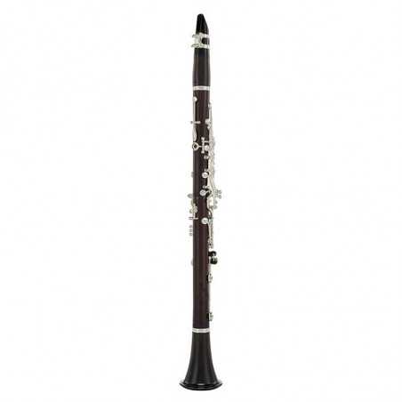 CLARINETE EN LA SELMER MUSE - 3