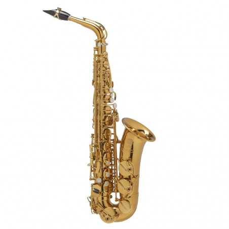 SAXO ALTO SELMER SUPREME DGG GOLDMESSING Selmer - 1